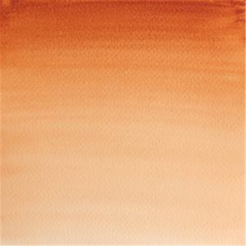 Winsor & Newton - Acquarello Extra-Fine Artists Awc 1-2 Godet Serie 1 - Colore 074 Burnt Sienna