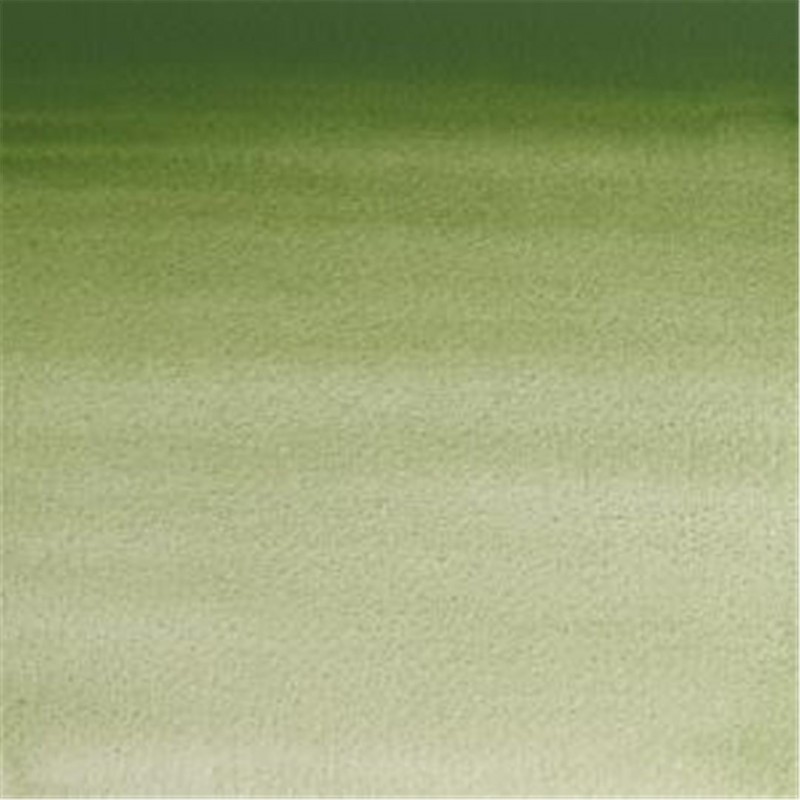 Winsor & Newton - Professional Water Color 1/2 Awc 3-Series Godet Color 459 Chromium Oxide