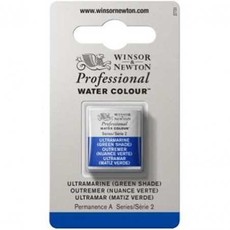 Winsor & Newton - Professional Water Color 1/2 Tablet Series 2-Awc 667 Overseas Color (green Shade)