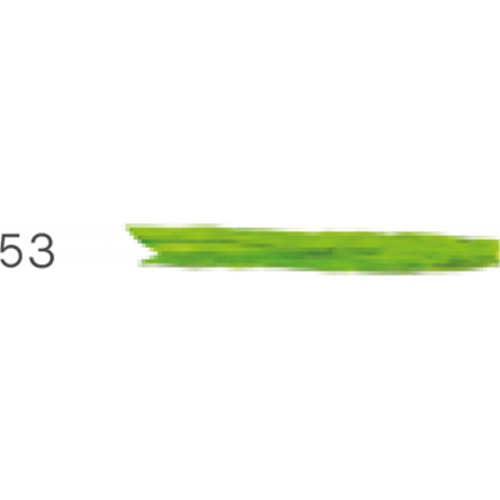 Nastro Raffia Mt20 Ovine  53-Verde Mela