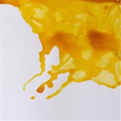 Inchiostro Per Calligrafia Winsor & Newton 14ml | Giallo Sunshine | Resistente All'Acqua E Ad Asciugatura Rapida | Inchiostro Indiano Liquido - 6