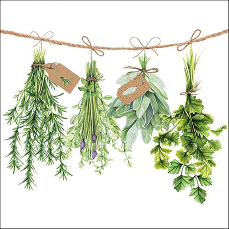 Ambiente Europe B.v. Tovagliolo 33x33 Carta Decorato Ambiente Fresh Herbs