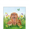 Tovagliolo 25x25 Fantasia Pasqua Rabbit Family | Ambiente
