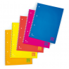 5 Pcs Pack Maxi Notebook Spiral One Color Fluo 5m | Blasetti Spa