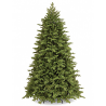 Albero Poly Princeton Fir 225cm Verde 4615punte Diametro 155cm | The National Tree Company