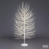Beech Tree With White 210cm Base | Edg - Enzo De Gasperi