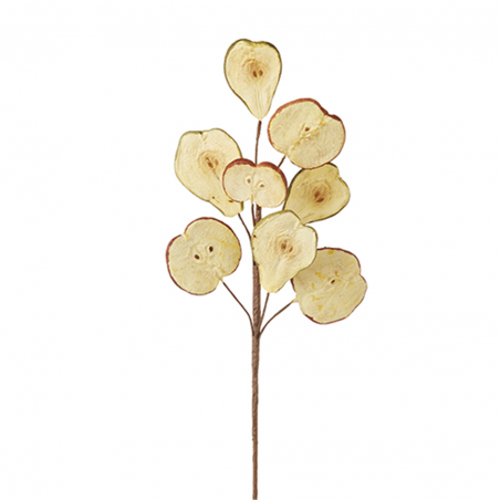 Pick Fette Di Mela E Pera Spray 45cm