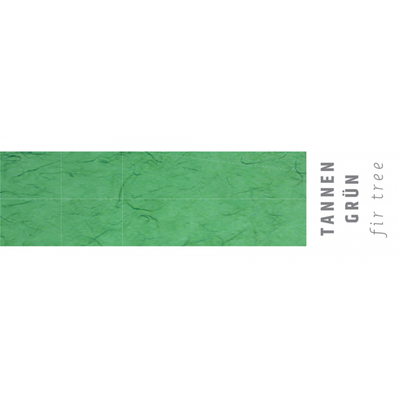 Carta Strohseide 70x100 Gr.25 535-Tree Green | Pulsar