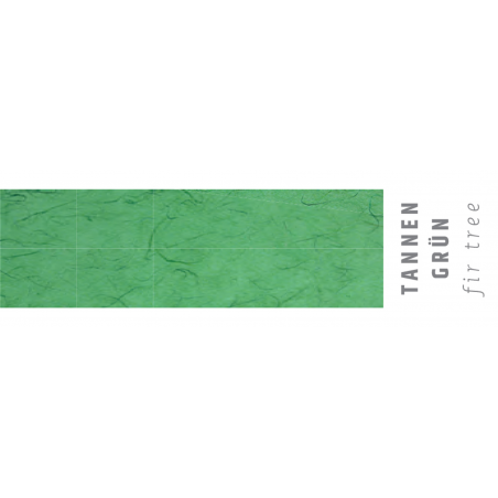 Carta Strohseide 70x100 Gr.25 535-Tree Green