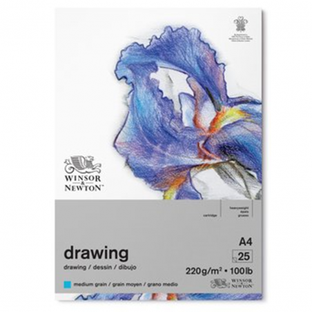 Blocco Drawing Da Schizzi A4 220g/mq 25 Fogli Grana Media Collato Alto