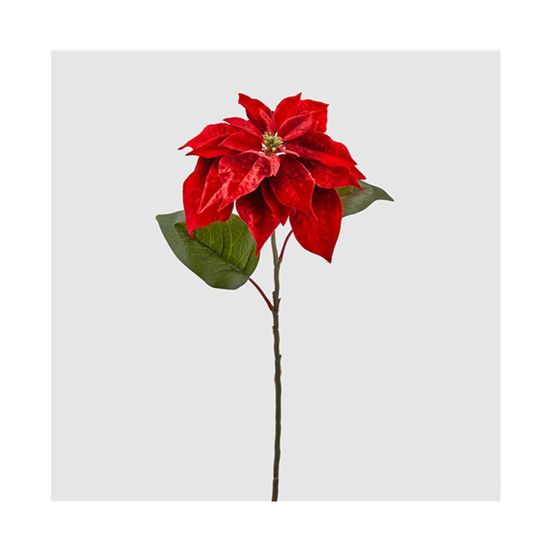 Poinsettia Branch Bell Velvet H71cm Red | Edg - Enzo De Gasperi