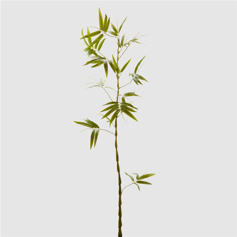 Bamboo Ramo H145cm | Edg - Enzo De Gasperi