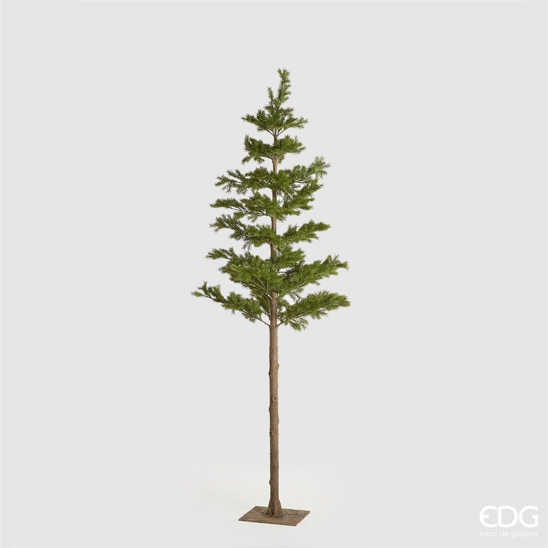 Albero Pino West Con Tronco Lungo H216cm