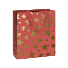 Sacchetto Regalo Con Carta Velina Sacchetti Di Dolcetti Natalizi