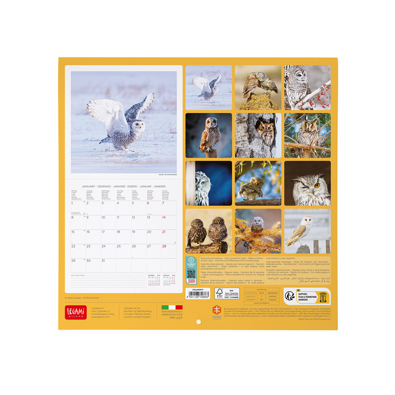 Calendario Da Parete 30x29 Fotografico Owls