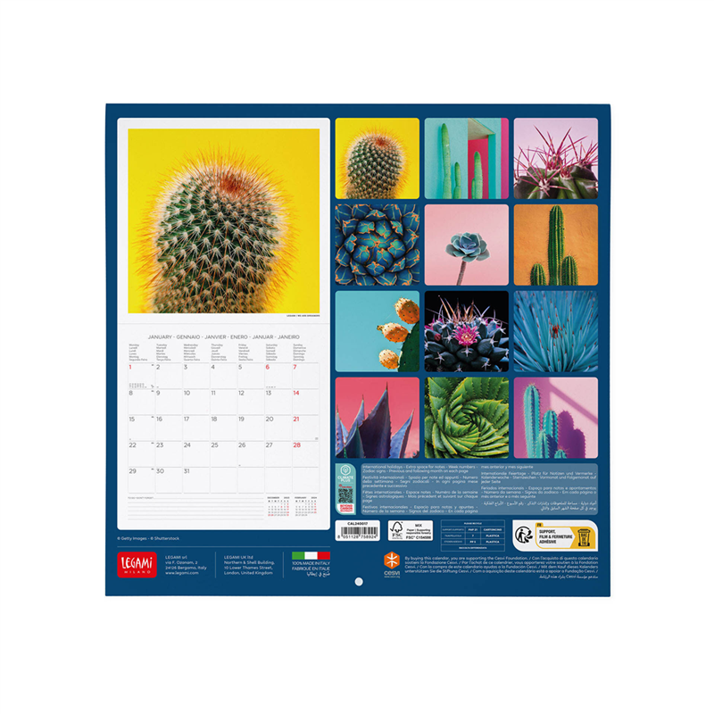 Calendario Da Parete 30x29 Fotografico Succulents | Legami