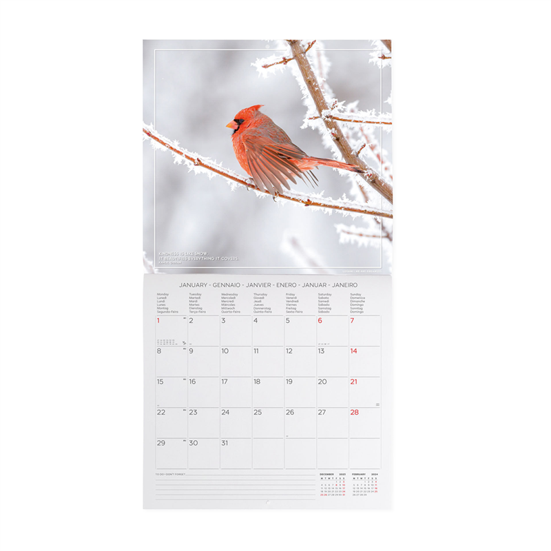 Calendario Da Parete 30x29 Fotografico 4 Seasons | Legami