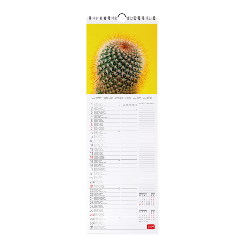 Calendario Da Parete 16x49 Fotografico Succulents | Legami