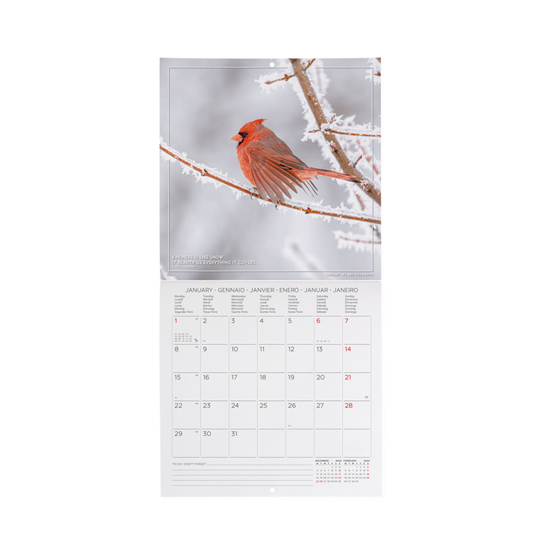 Calendario Da Parete 18x18 Fotografico 4 Seasons | Legami