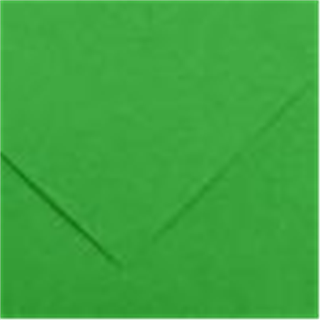 Foglio Colorline 50x70 Cm. 220gr./mq. 162-Verde Brillante