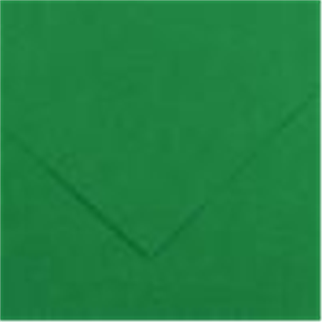 Foglio Colorline 50x70 Cm. 220gr./mq. 163-Verde Vivo