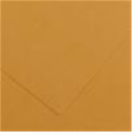 Foglio Colorline 50x70 Cm. 220gr./mq. 165-Cuoio