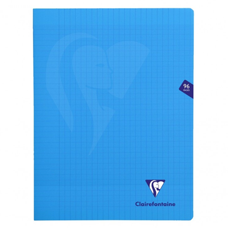 Quaderno 24x32 Ppl 96 Pag Seyes