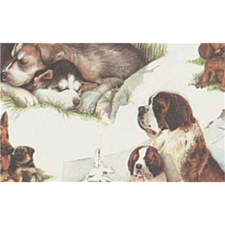 Carta Soft 50x70 Cm. Per Decoupage 114-San Bernardo