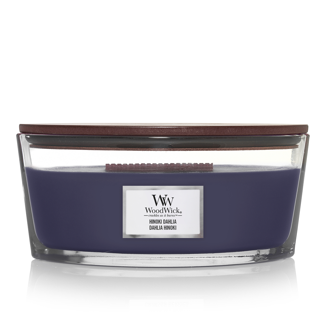 Candela  Ellipse Hinoki Dahlia | Woodwick