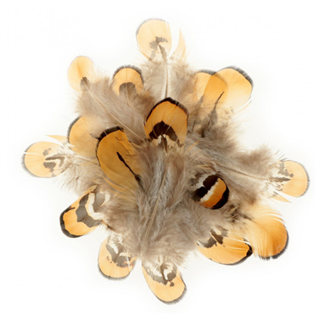 Set Piume 3/8cm Gr.3 In Blister Tonalita' Di Marrone