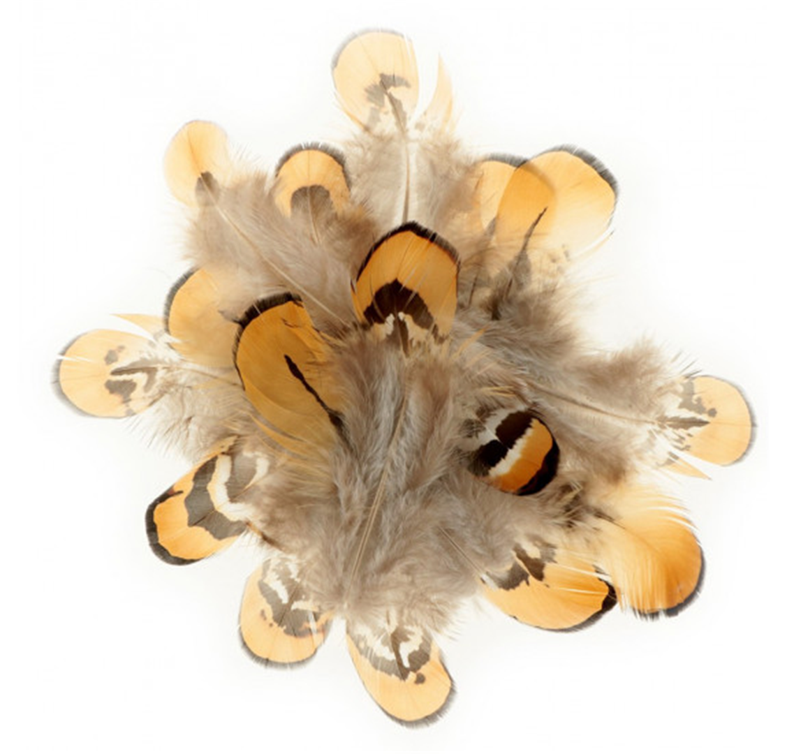 Set Piume 3/8cm Gr.3 In Blister Tonalita' Di Marrone