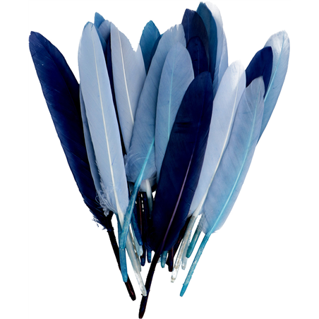Set Piume 13/17cm 28 Pezzi In Blister 21-Celeste/blu