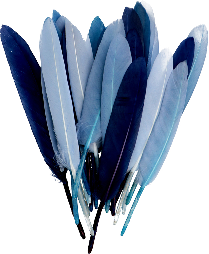 Set Piume 13/17cm 28 Pezzi In Blister 21-Celeste/blu
