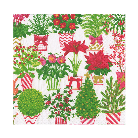 Tovagliolo Natale 33x33  Christmas Flower Market