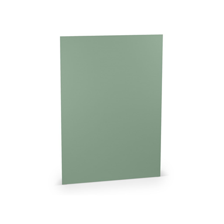 Biglietto Din A6 148x105 Gr220pz.100 67 - Eucalipto
