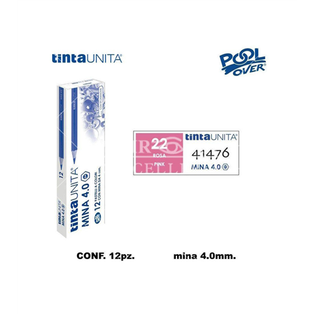 22 Rosa