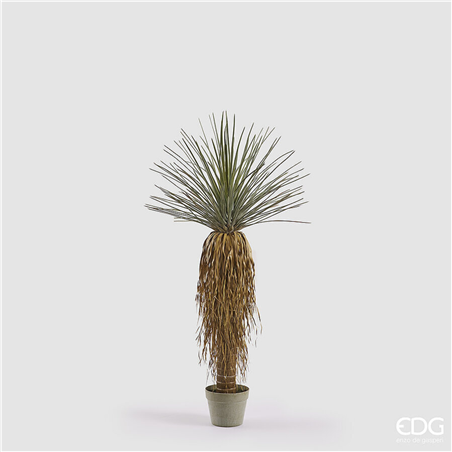 Yucca Con Vaso H122cm