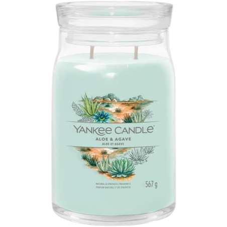 Candela Giara Grande Signature  Aloe And Agave