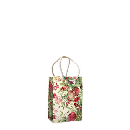 Busta Regalo Shopper21x10x26cm  Frutta Ghiacciata