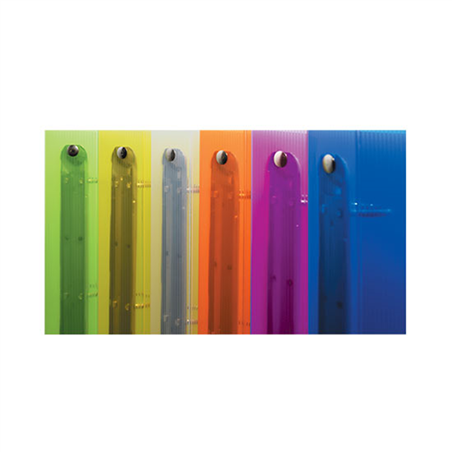 Raccoglitore Anelli Pp D.16 Trasparente Riga Colori Assortiti