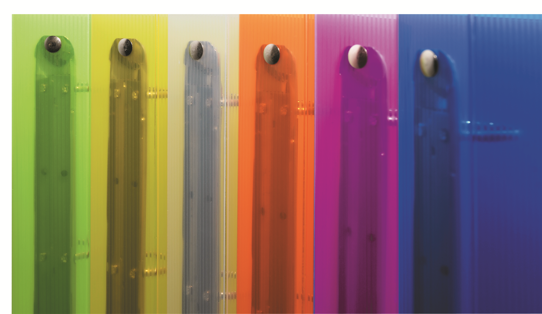 Raccoglitore Anelli Pp D.16 Trasparente Riga Colori Assortiti — immagine 5