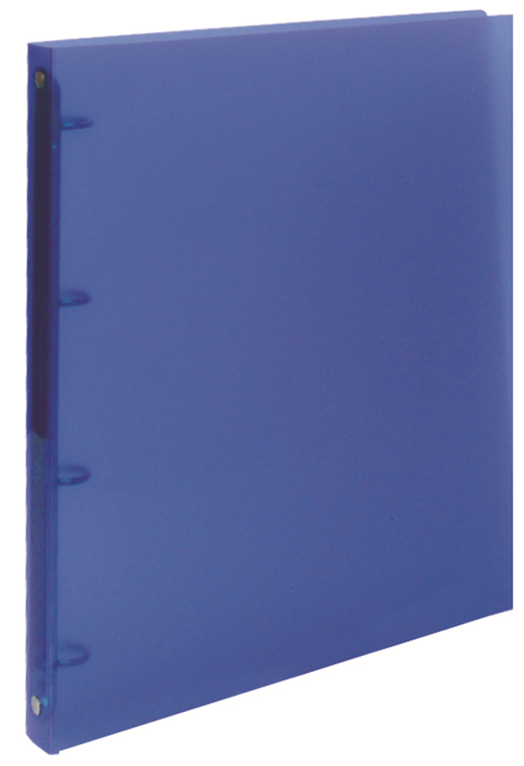 Raccoglitore Anelli Pp D.30 Trasparente Riga Colori Assortiti — immagine 4