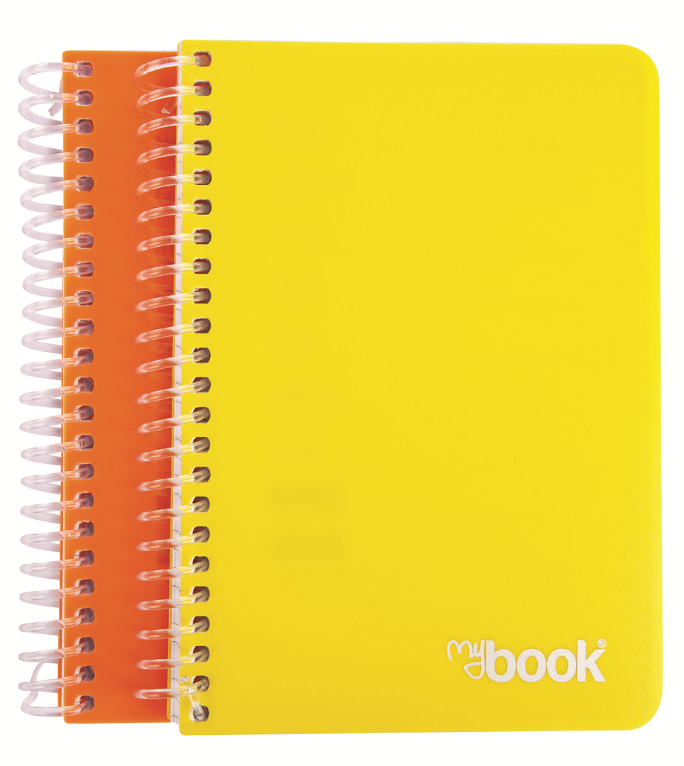 Quaderno Spiralato A4 Ppl Fori 80 Fogli 1 Rigo — immagine 7