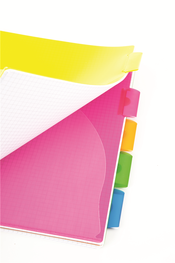 Quaderno Spiralato A4 Ppl Con Fori E Divisori 1 Rigo — immagine 3