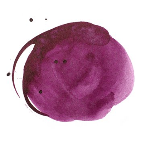Inchiostro Acrilico Extra-Fine Acrylic Ink! Ml. 30 - 115 Violetto Scuro