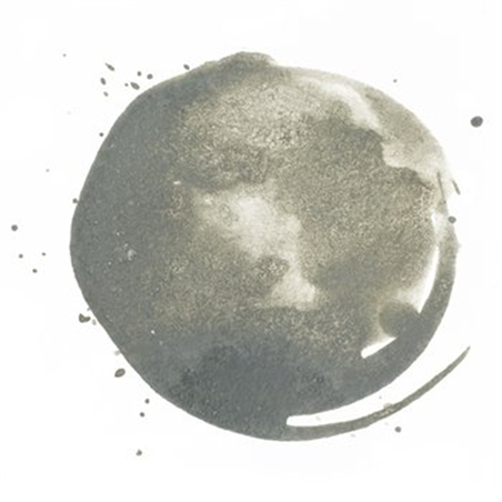 Inchiostro Acrilico Extra-Fine Acrylic Ink! Ml. 30 - 599 Grigio Neutro 5