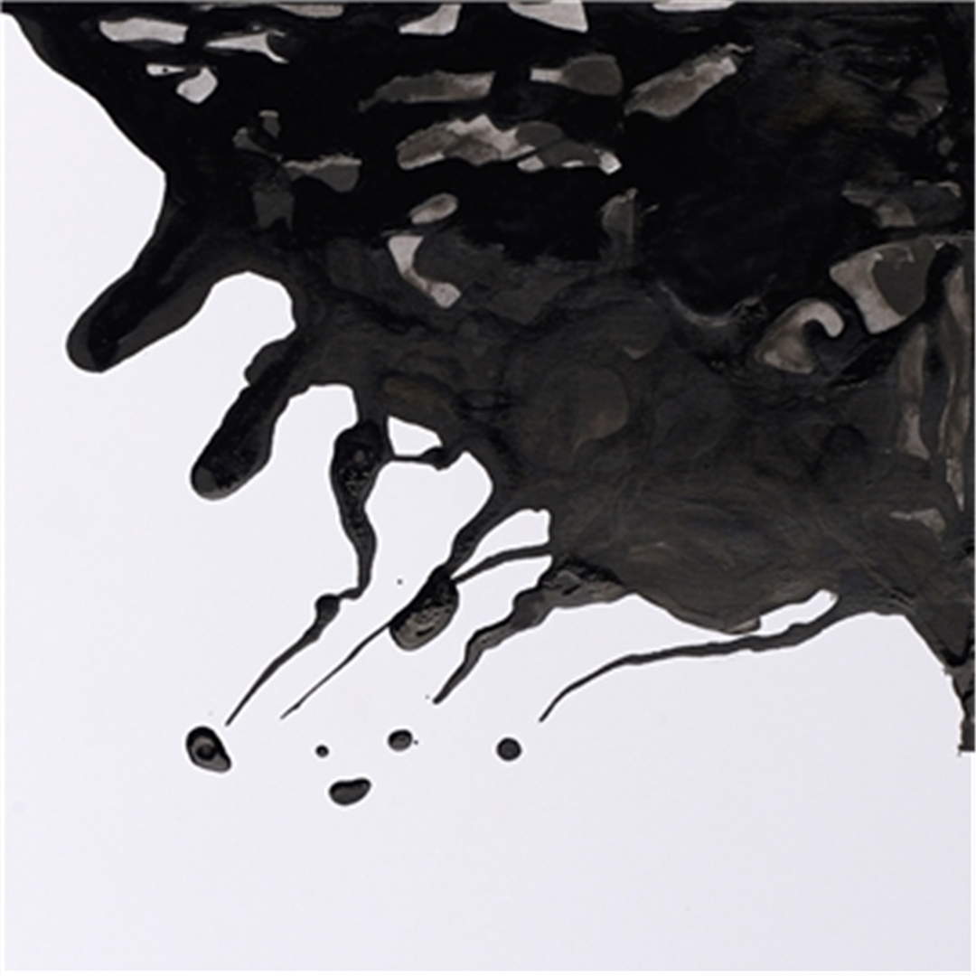 Inchiostro Colorato Winsor&Newton Nero (Black Indian Ink), flacone da 30 ml con Contagocce — immagine 2
