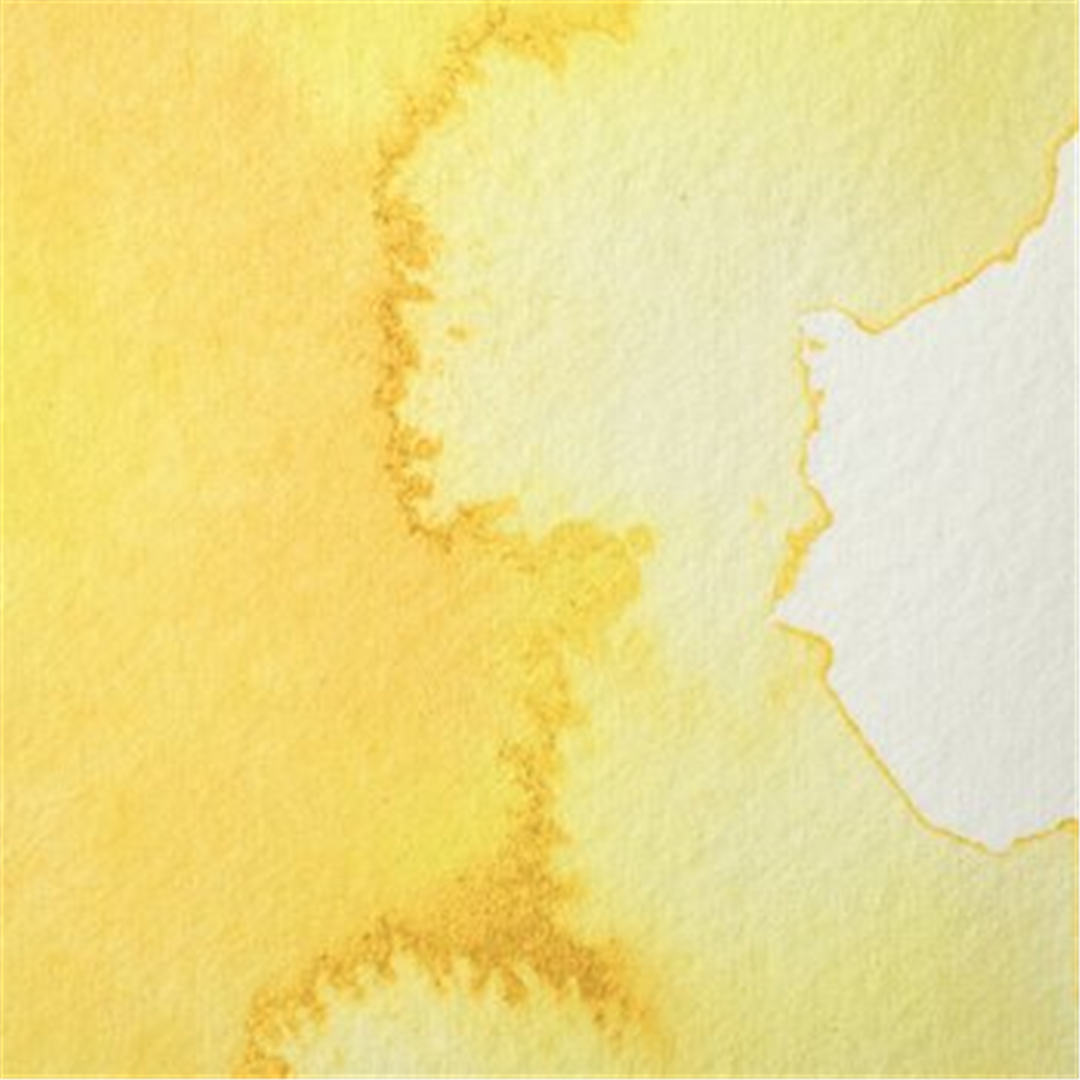 Professional Water Colour Tubo 5 Ml Sr. 2 Aureolina Imitazione — immagine 3