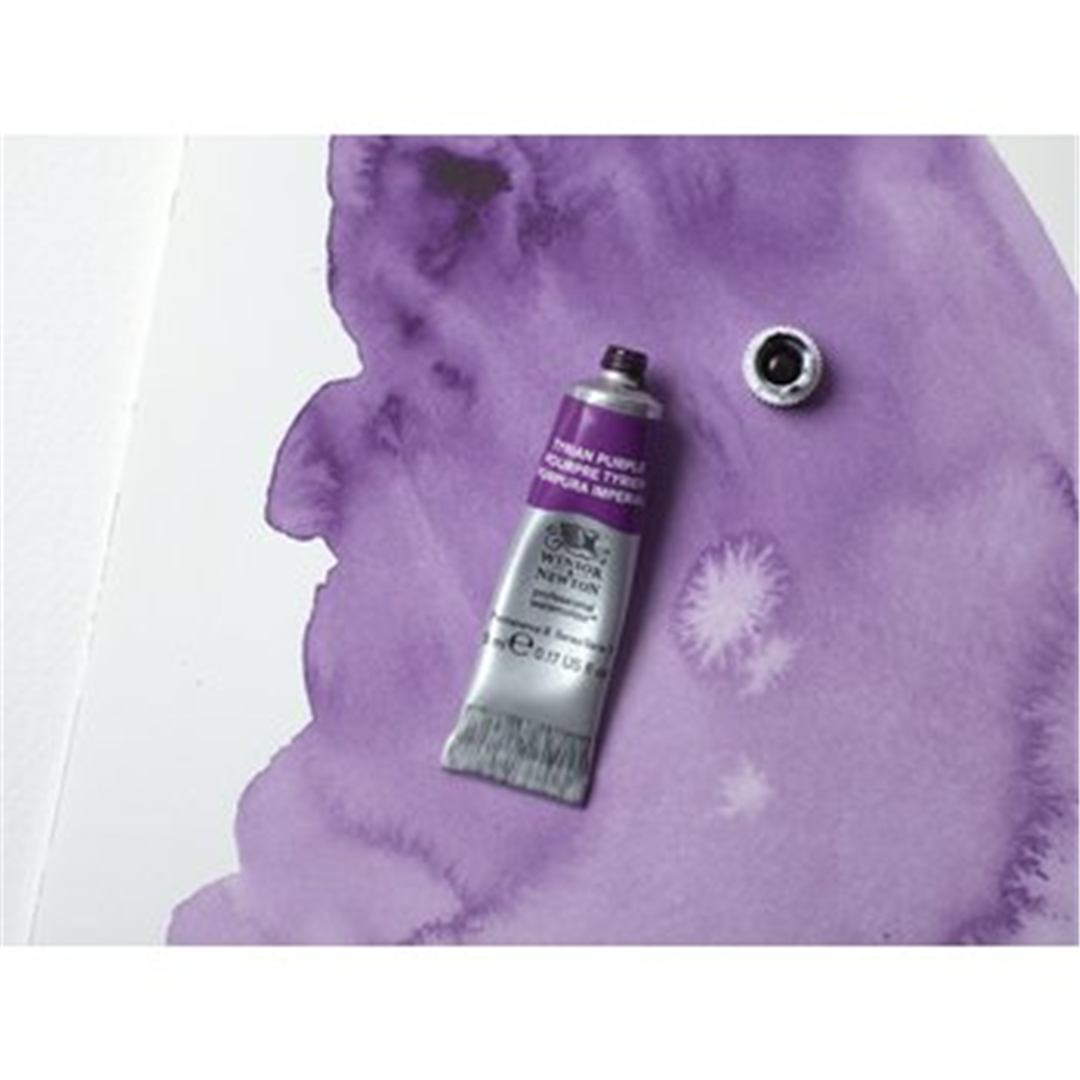 Professional Water Colour Tubo 5 Ml Sr. 2 Porpora Tirian — immagine 4