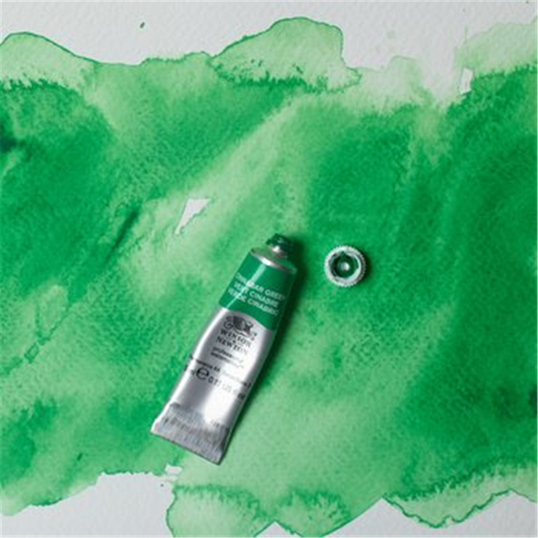 Professional Water Colour Tubo 5 Ml Sr. 2 Verde Cinabro — immagine 4